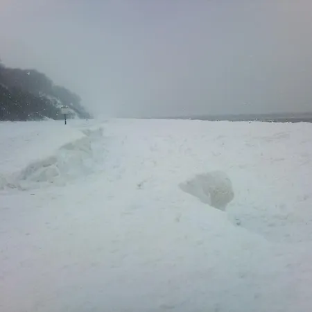 Buchfink בית הארחה 3*