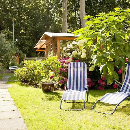 Buchfink Gasthof Ückeritz