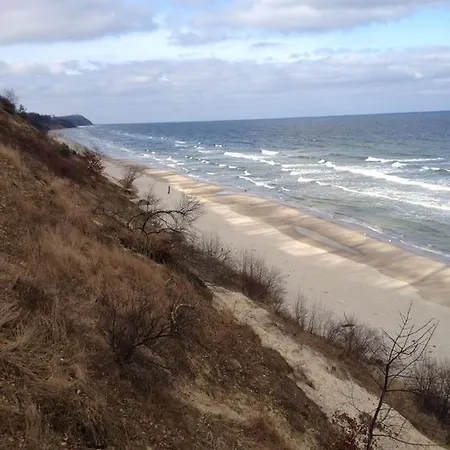 Buchfink אוקריץ